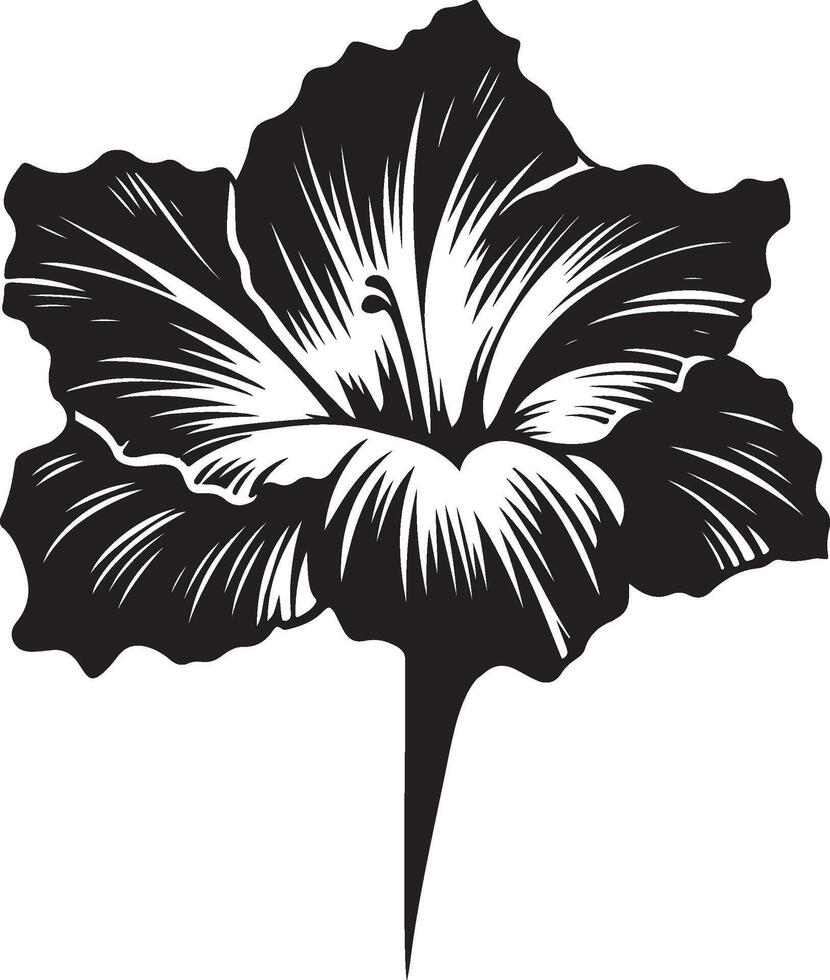 gladiolus flower color vector