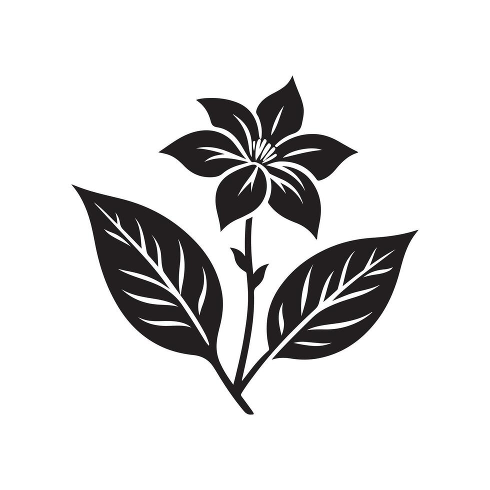 jasmine flower black vector