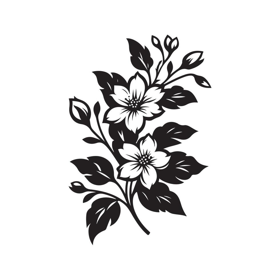 jasmine flower black vector