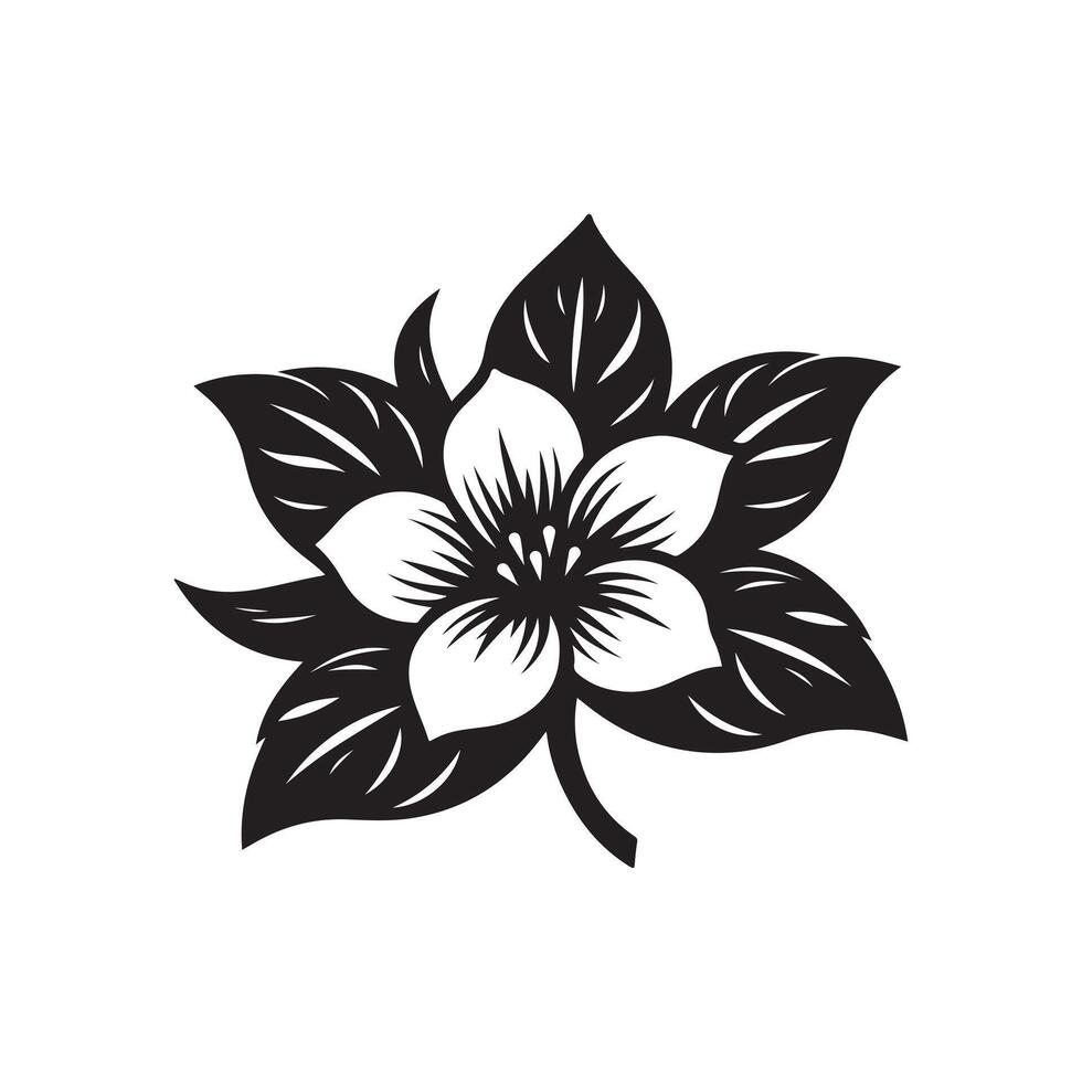 jasmine flower black vector