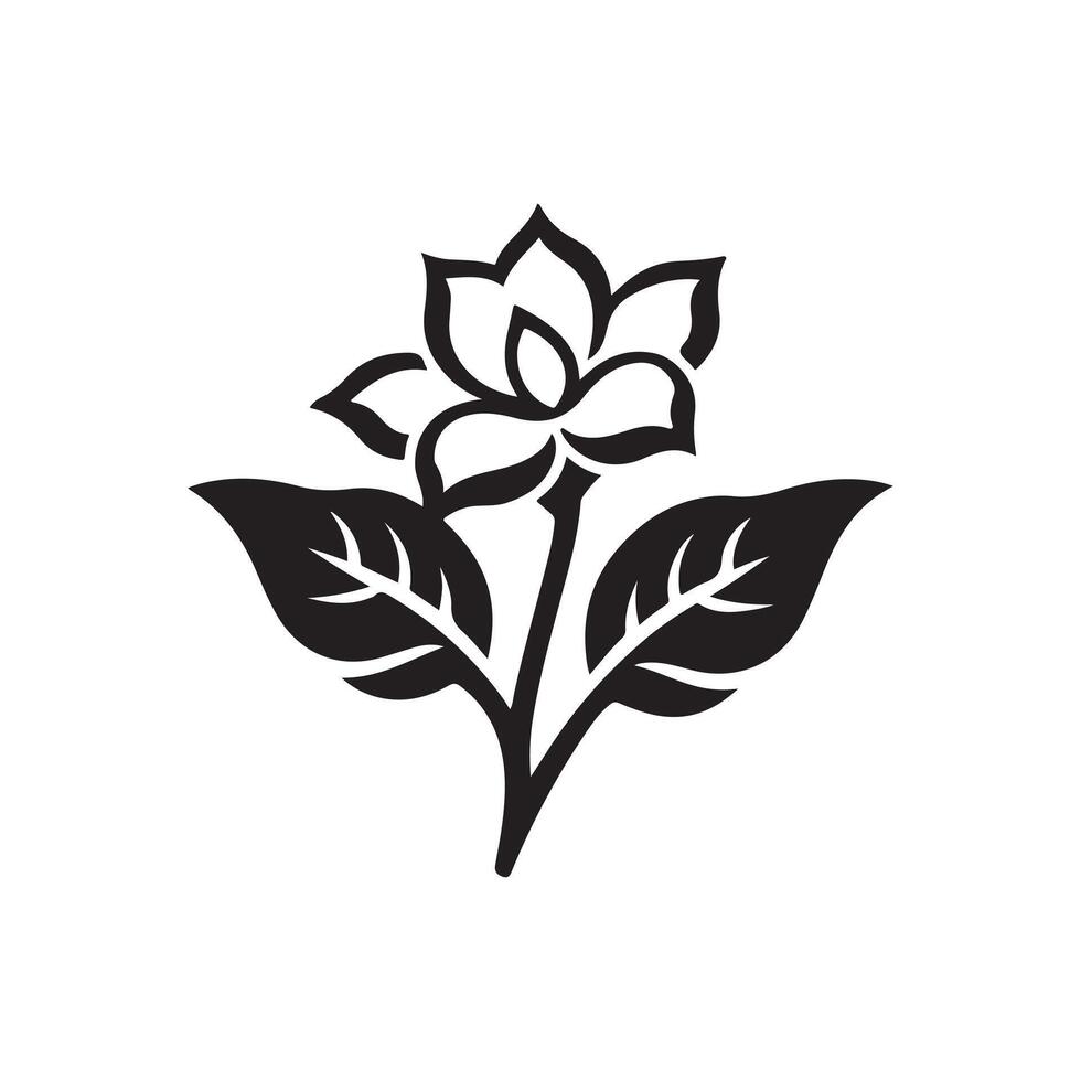 jasmine flower black vector