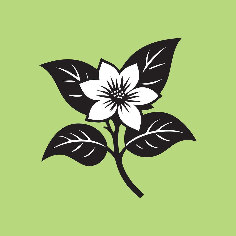 jasmine flower black vector