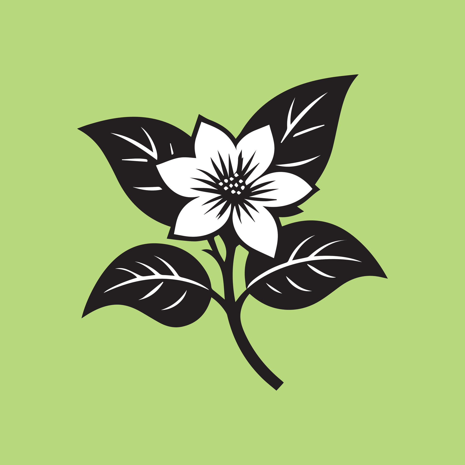 jasmine flower black 46528850 Vector Art at Vecteezy