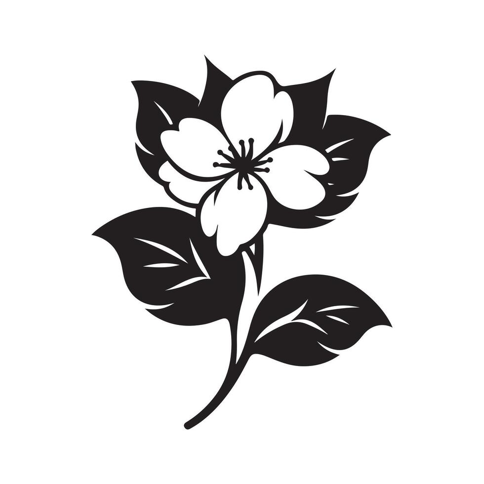 jasmine flower black 46528853 Vector Art at Vecteezy