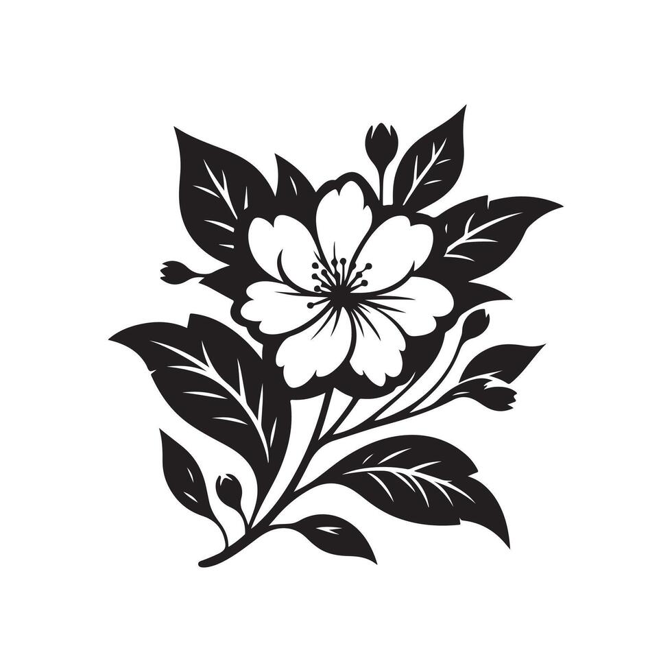 jasmine flower black vector