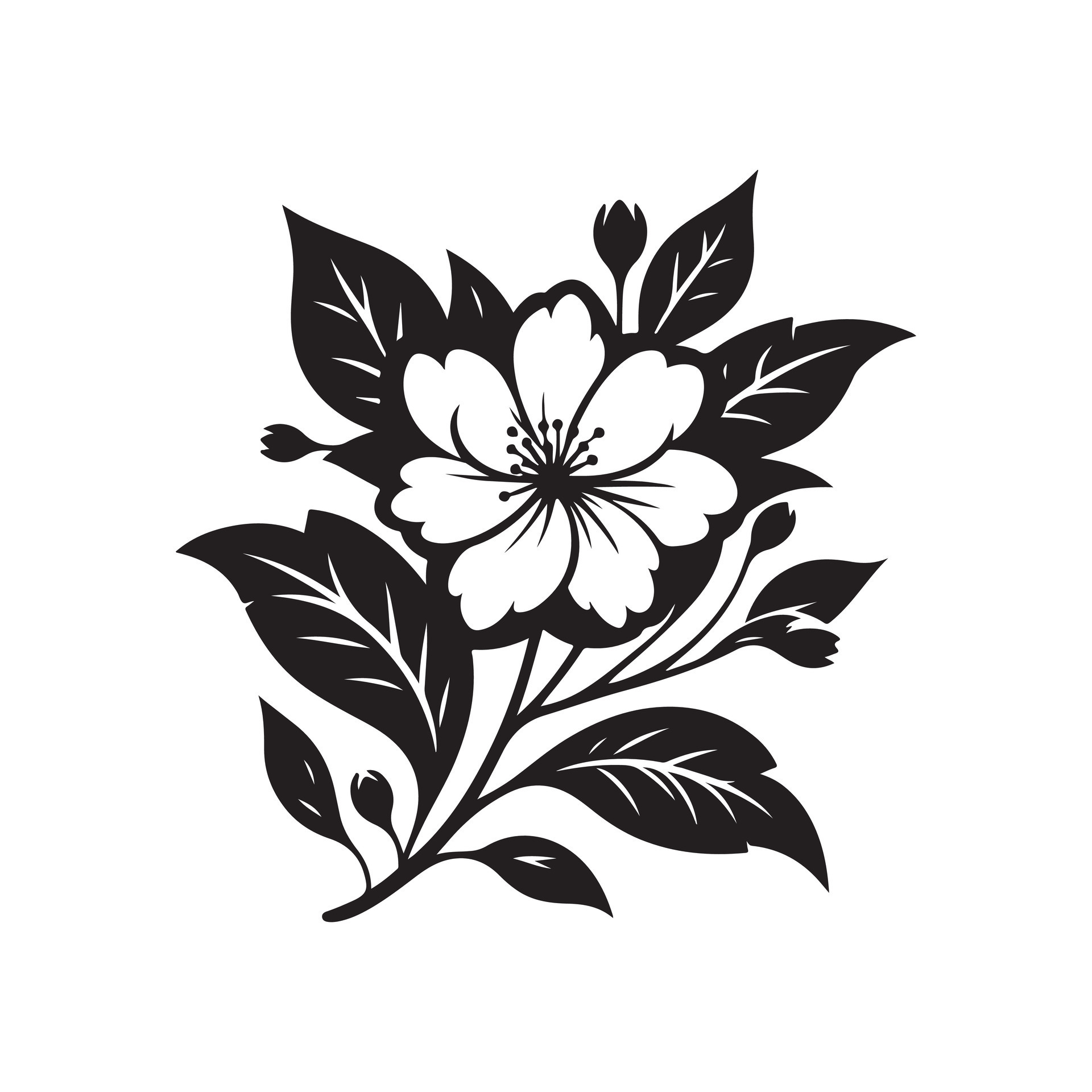 jasmine flower black 46528865 Vector Art at Vecteezy