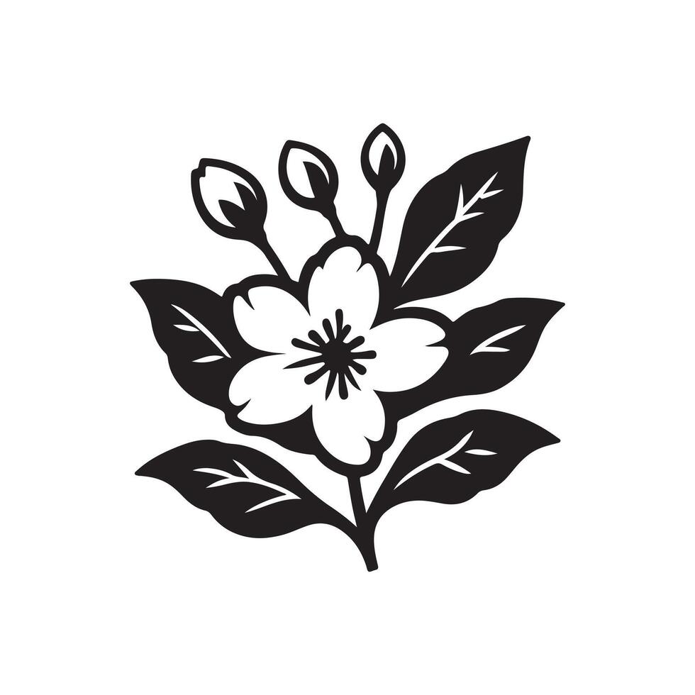 jasmine flower black vector