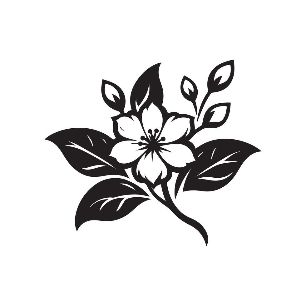 jasmine flower black vector