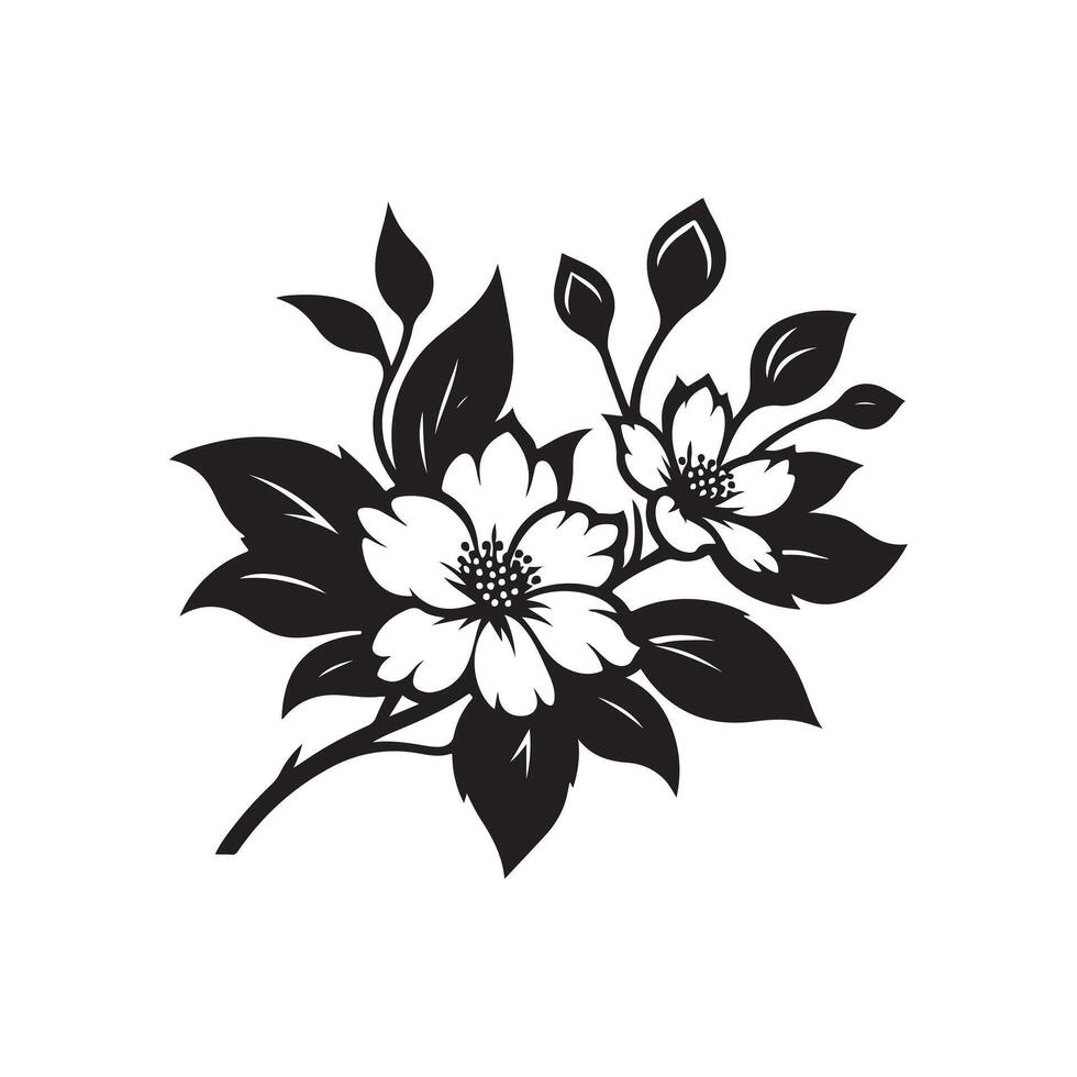 jasmine flower black vector