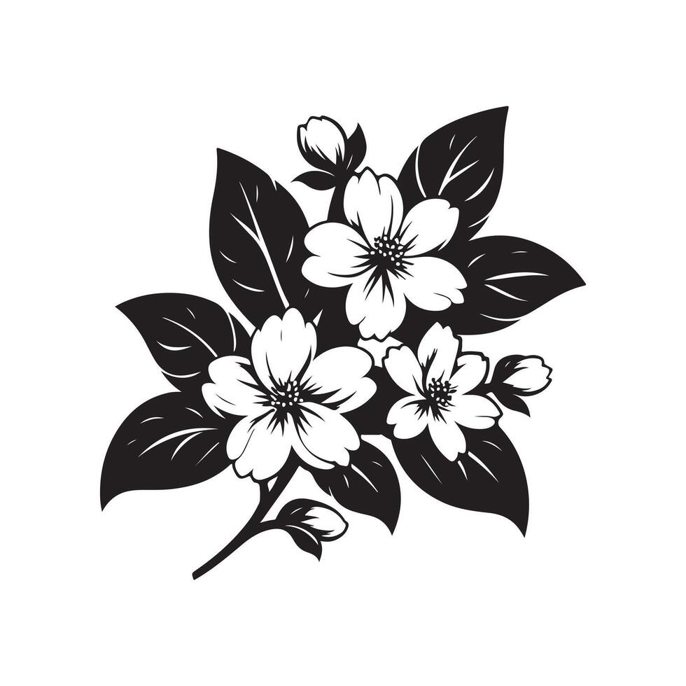 jasmine flower black vector
