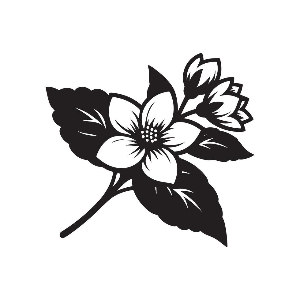 jasmine flower black 46528919 Vector Art at Vecteezy
