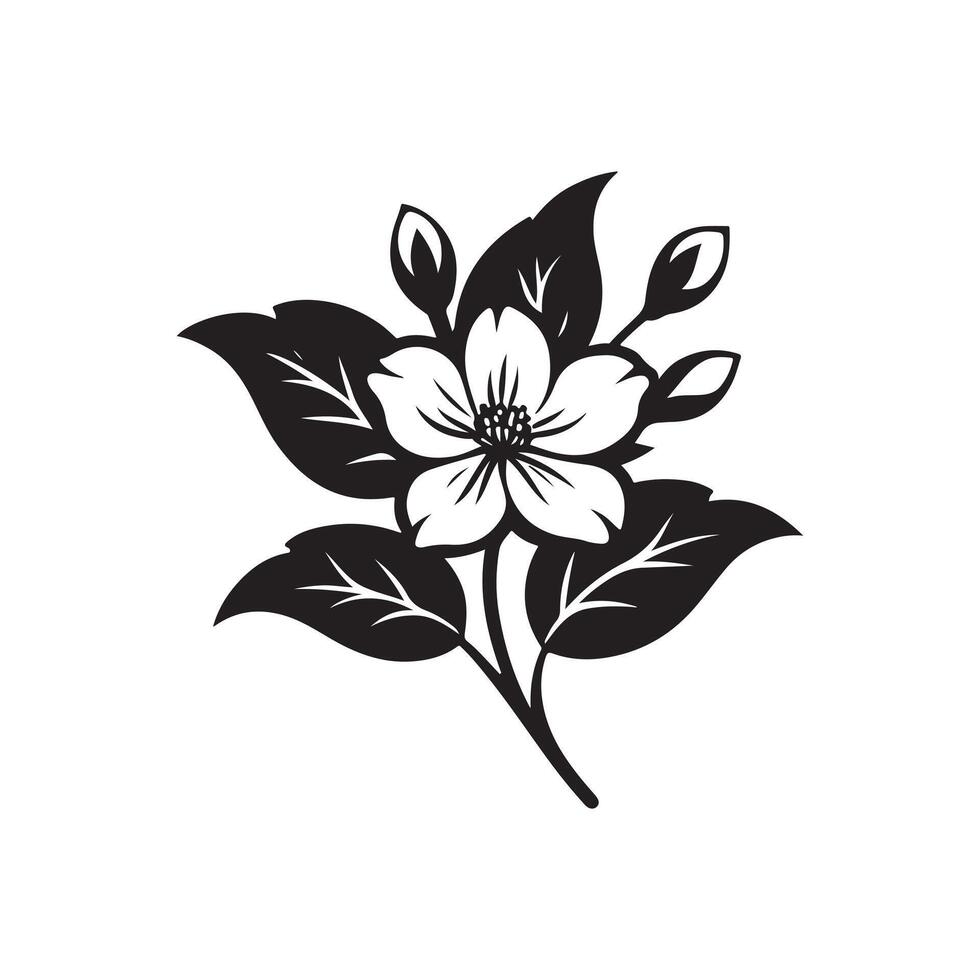 jasmine flower black vector