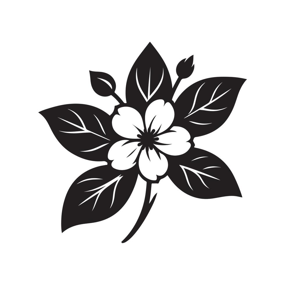 jasmine flower black vector
