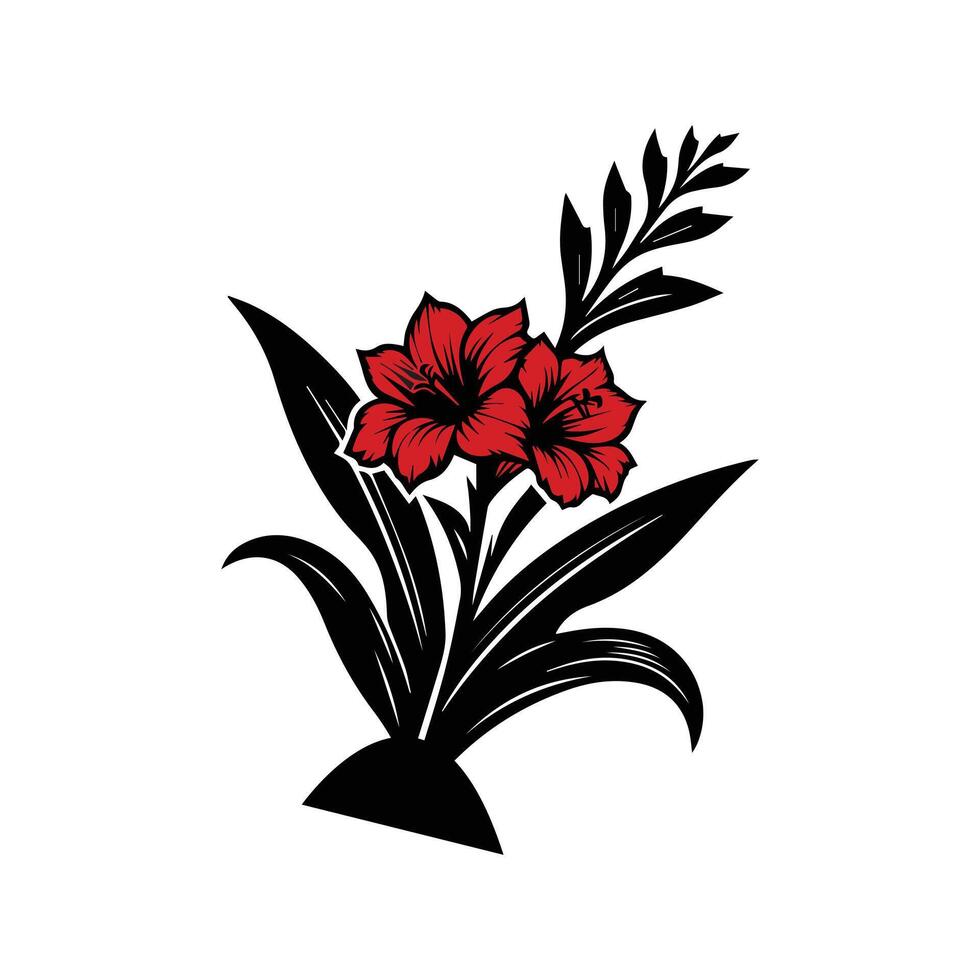 gladiolus flower color vector