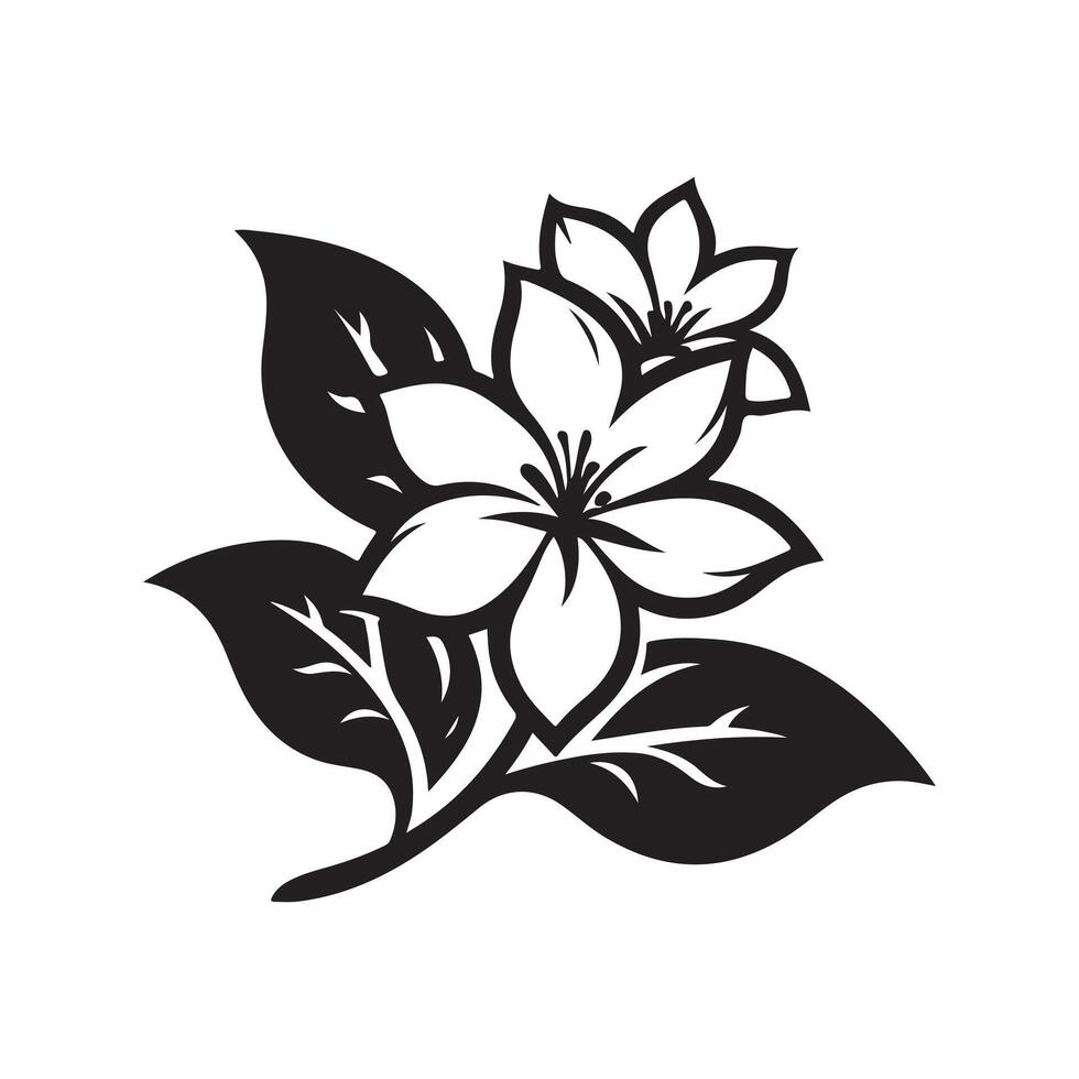 jasmine flower black vector