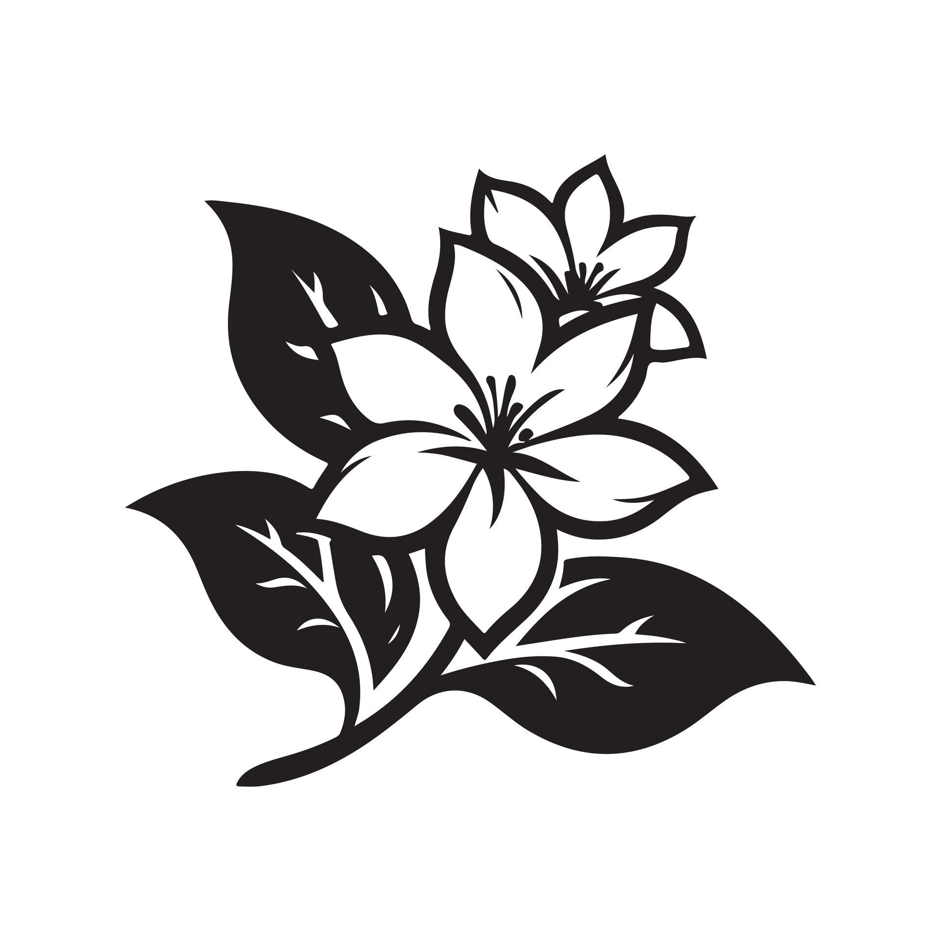 jasmine flower black 46528927 Vector Art at Vecteezy