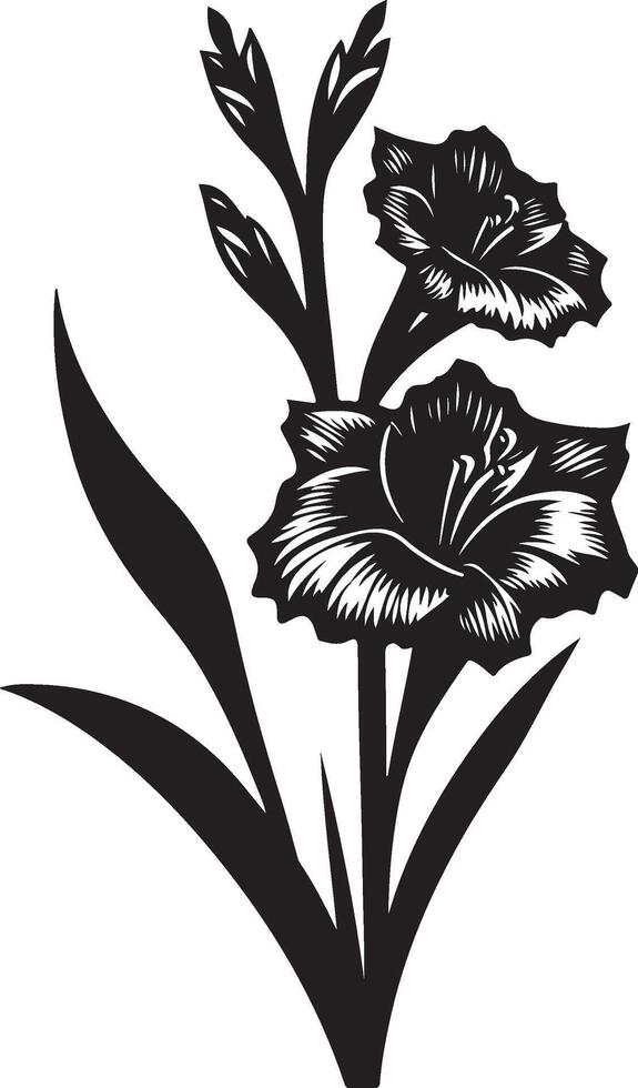 gladiolus flower color vector