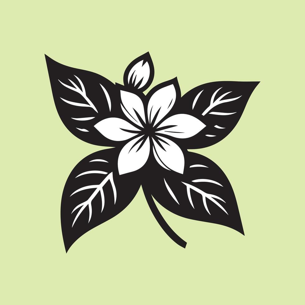 jasmine flower black vector