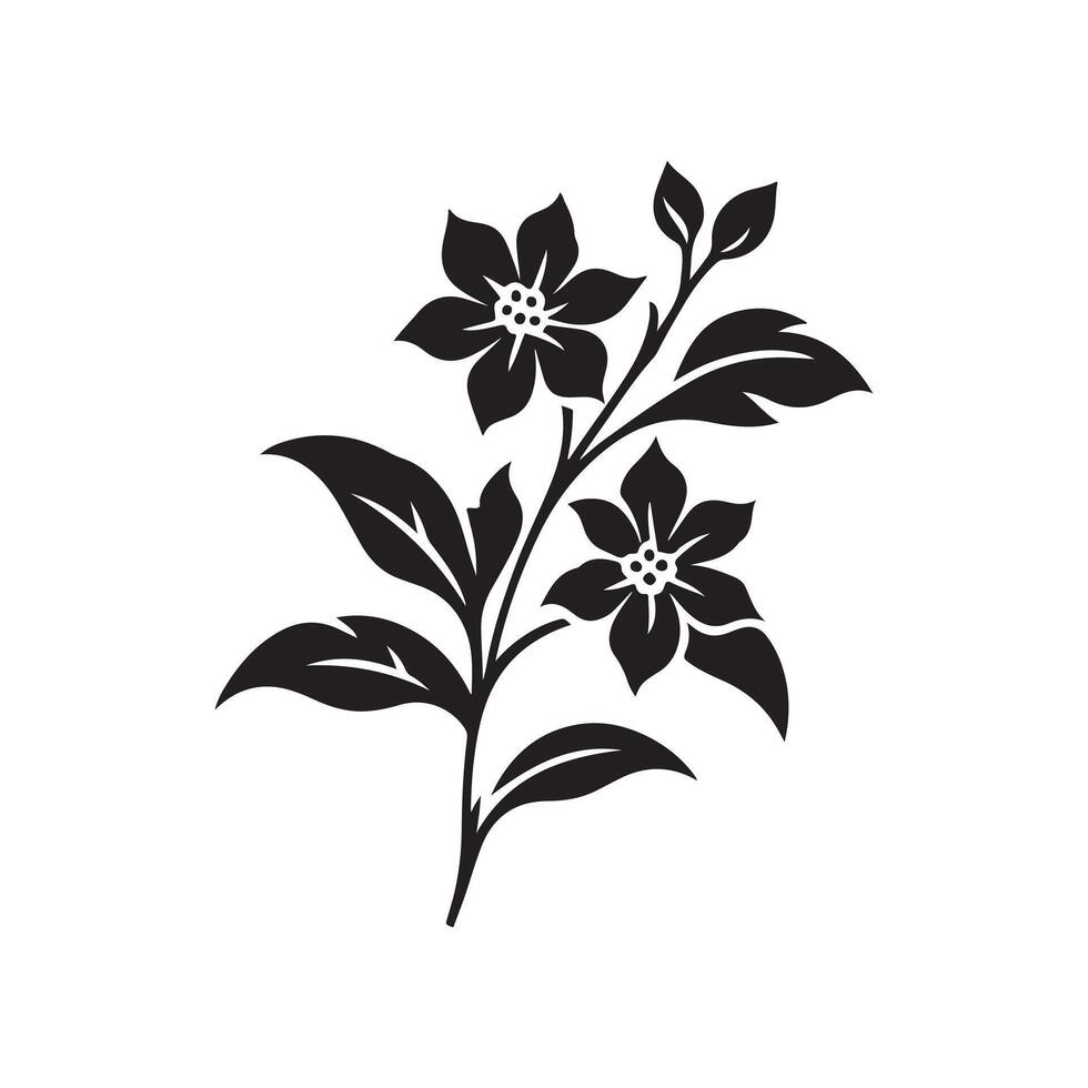 jasmine flower black vector