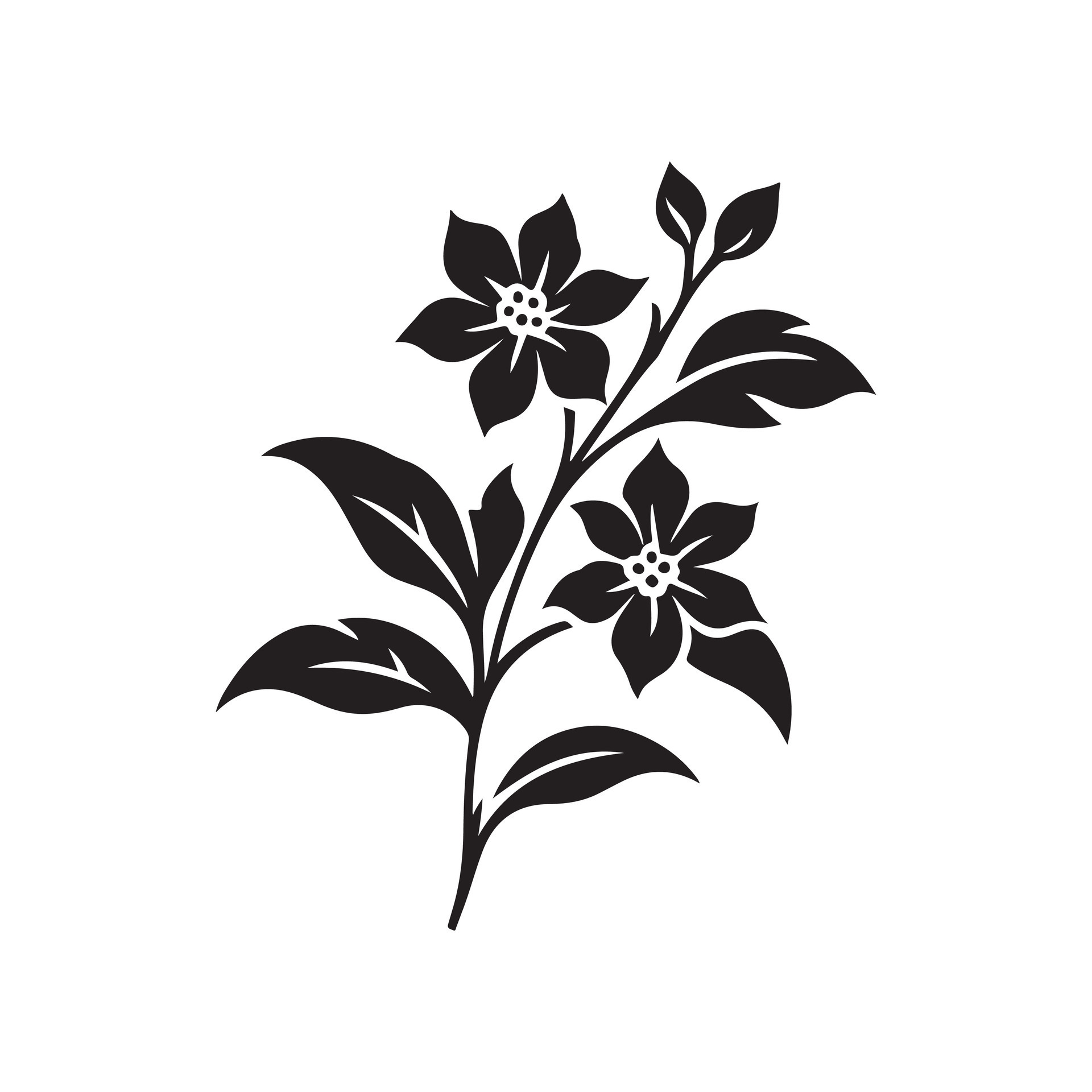 jasmine flower black 46528982 Vector Art at Vecteezy