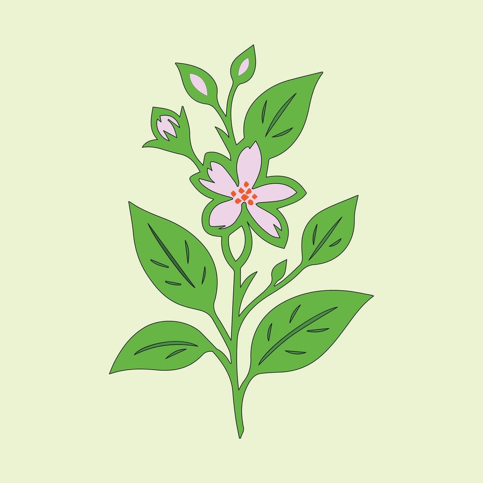 jasmine flower black vector