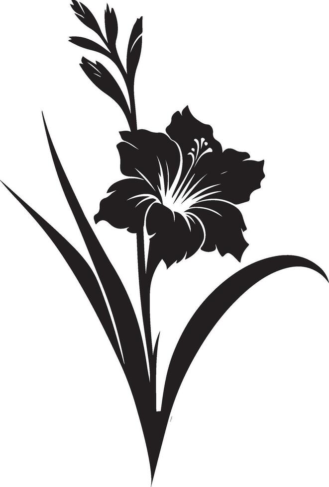 gladiolus flower color vector