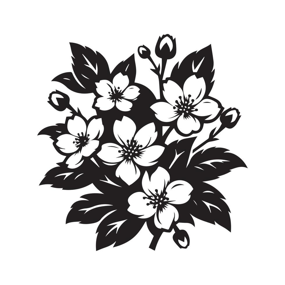 jasmine flower black vector