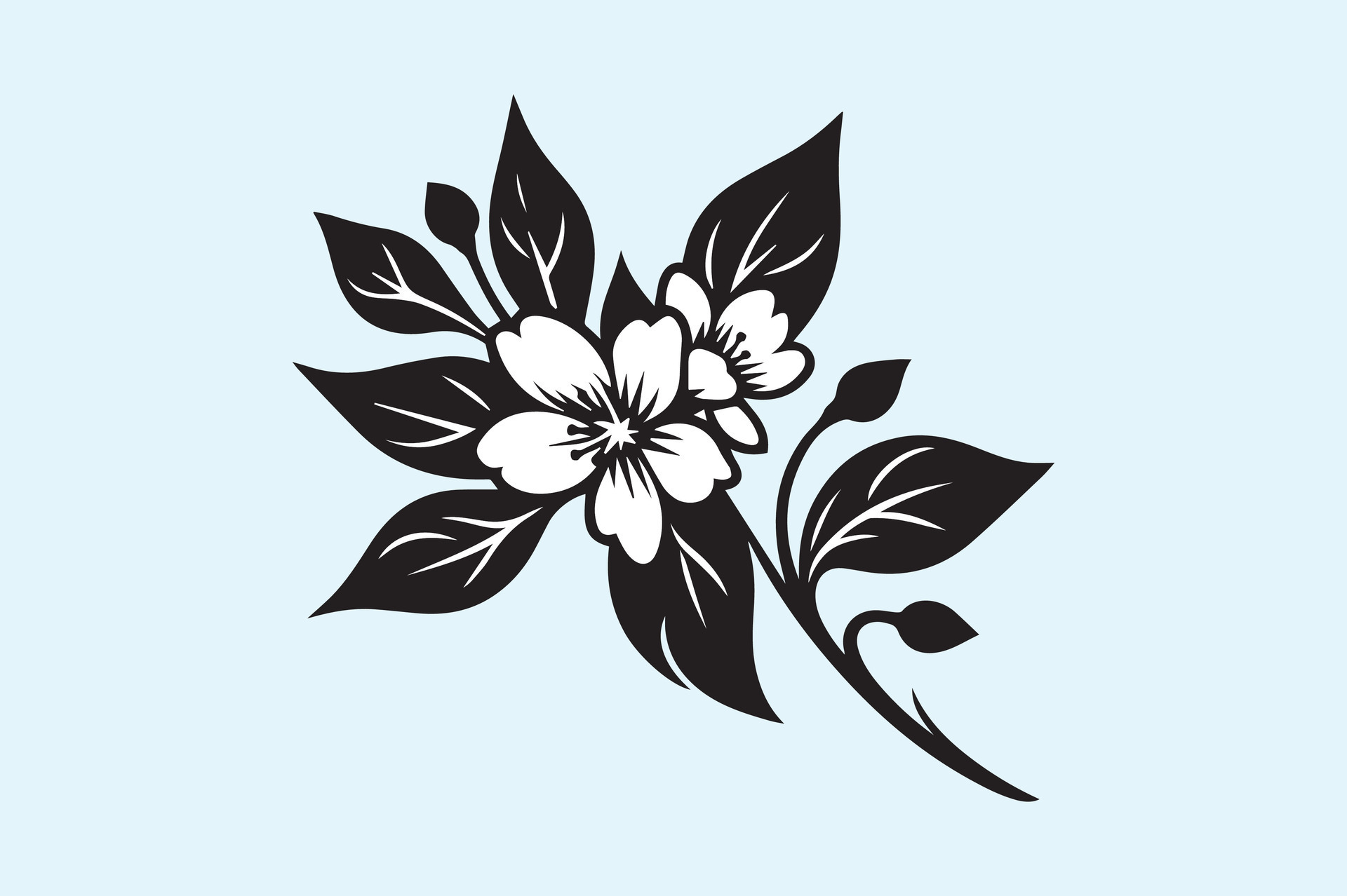 jasmine flower black 46529022 Vector Art at Vecteezy