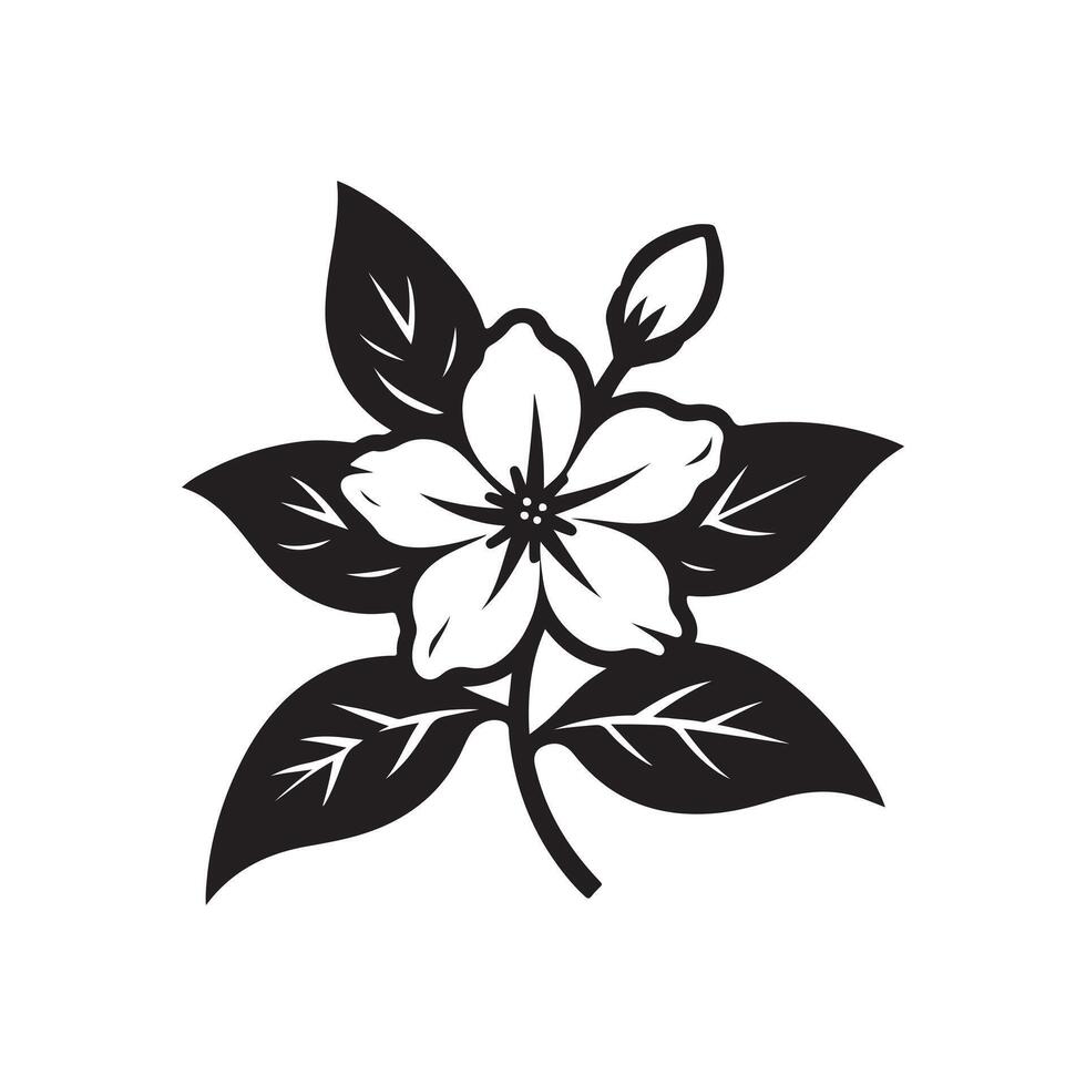 jasmine flower black vector