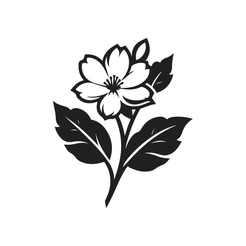 jasmine flower black vector