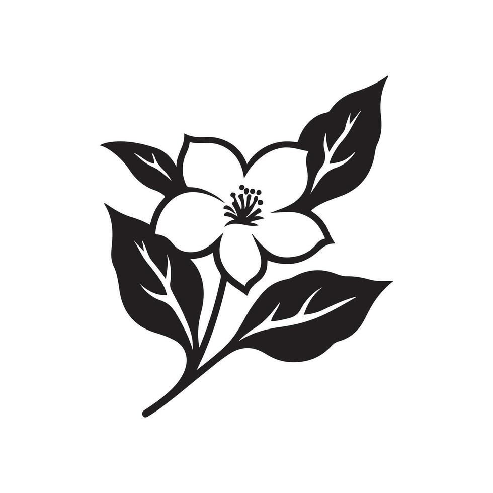 jasmine flower black vector