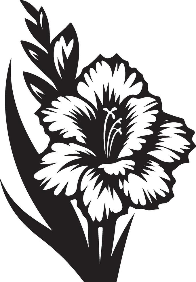 gladiolus flower color vector