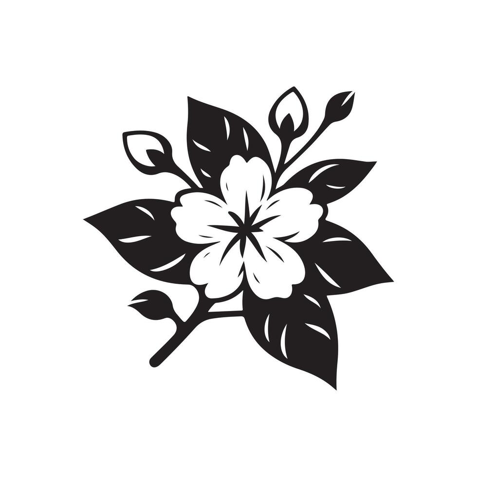 jasmine flower black vector