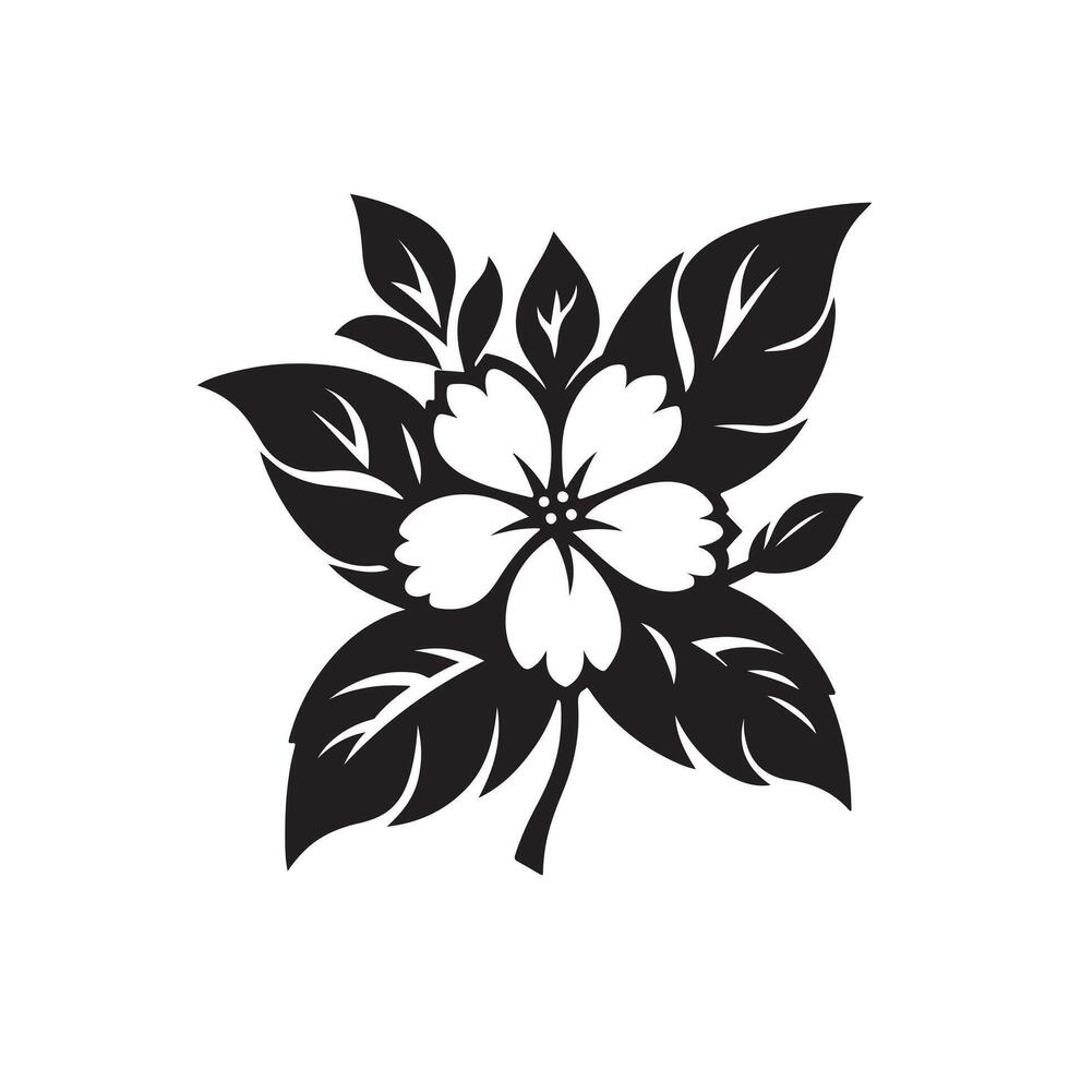 jasmine flower black 46529093 Vector Art at Vecteezy