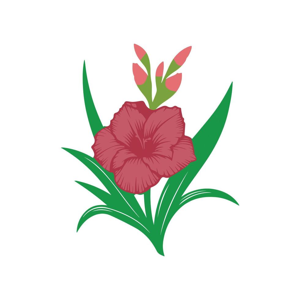 simple gladiolus flower illustration vector