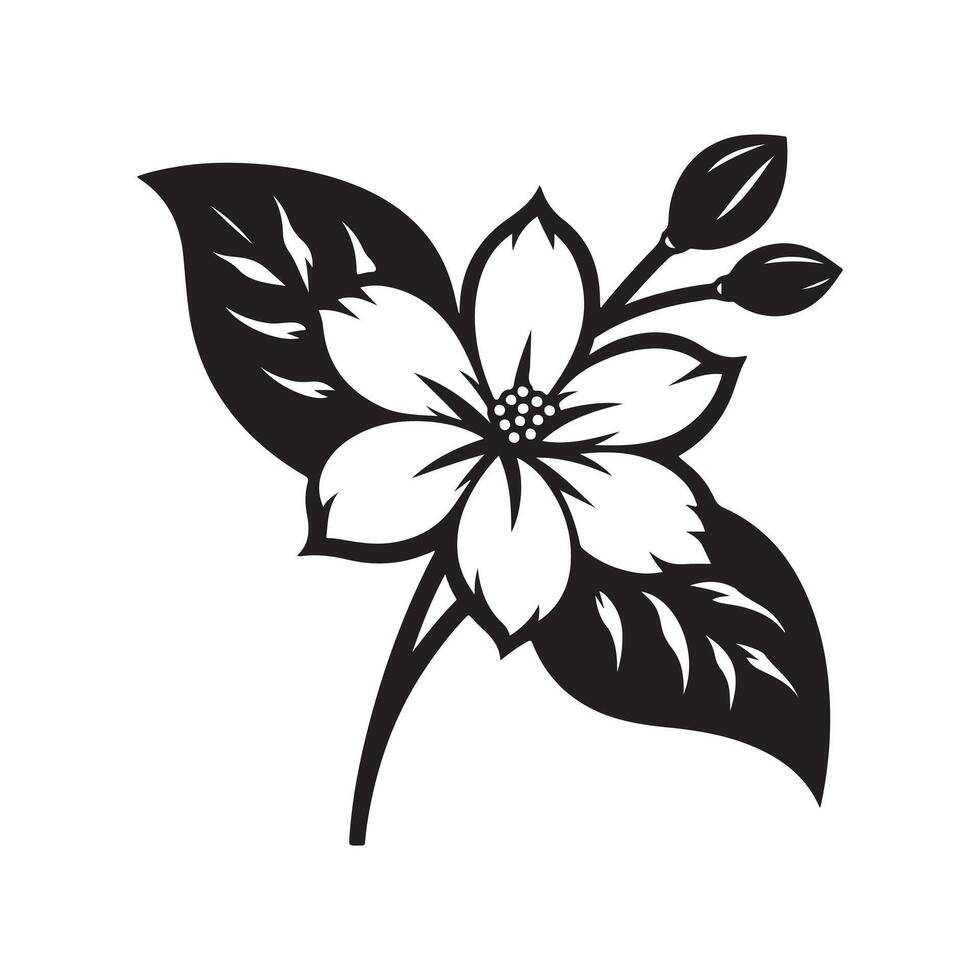 jasmine flower black 46529132 Vector Art at Vecteezy