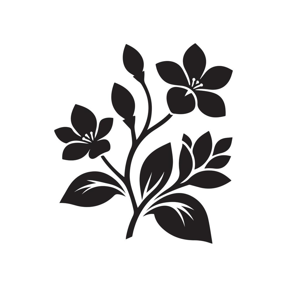 jasmine flower black vector