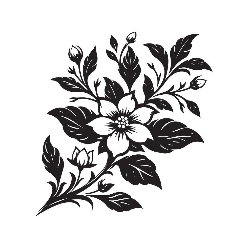 jasmine flower black vector