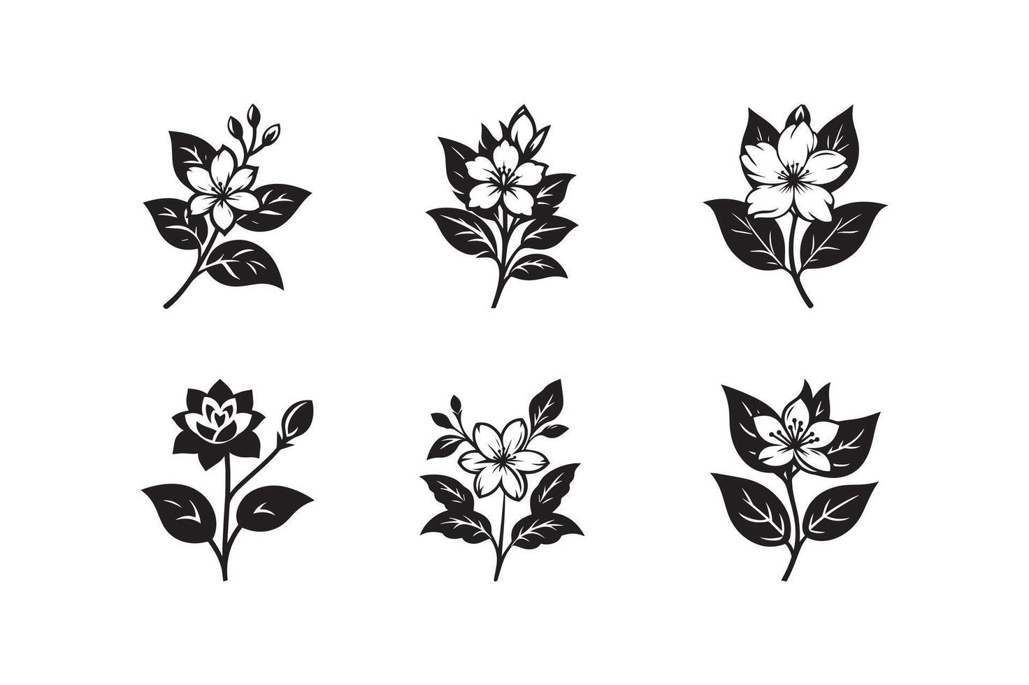 jasmine flower black vector