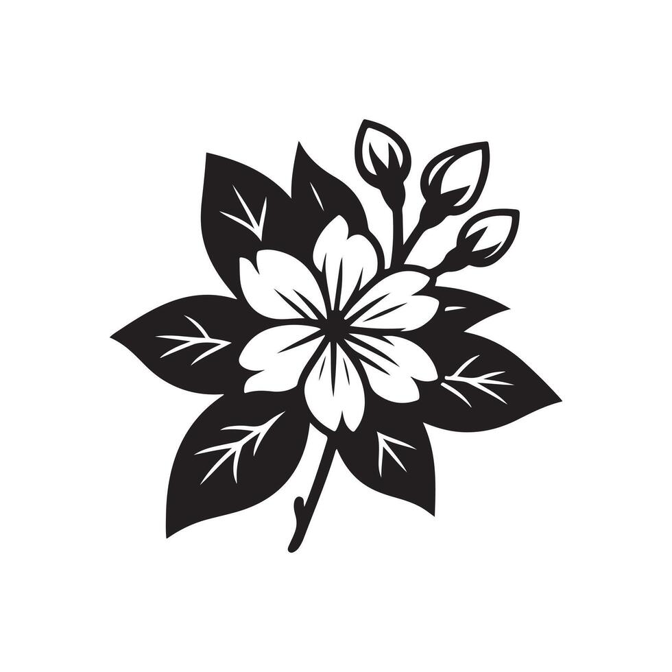 jasmine flower black vector