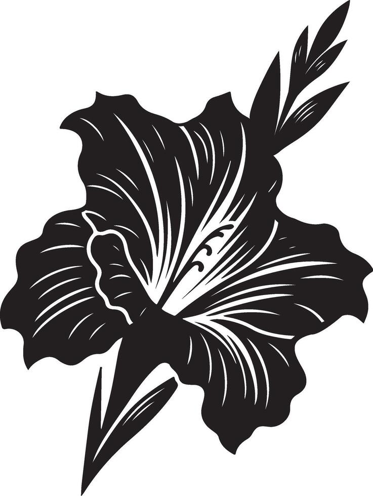gladiolus flower color vector