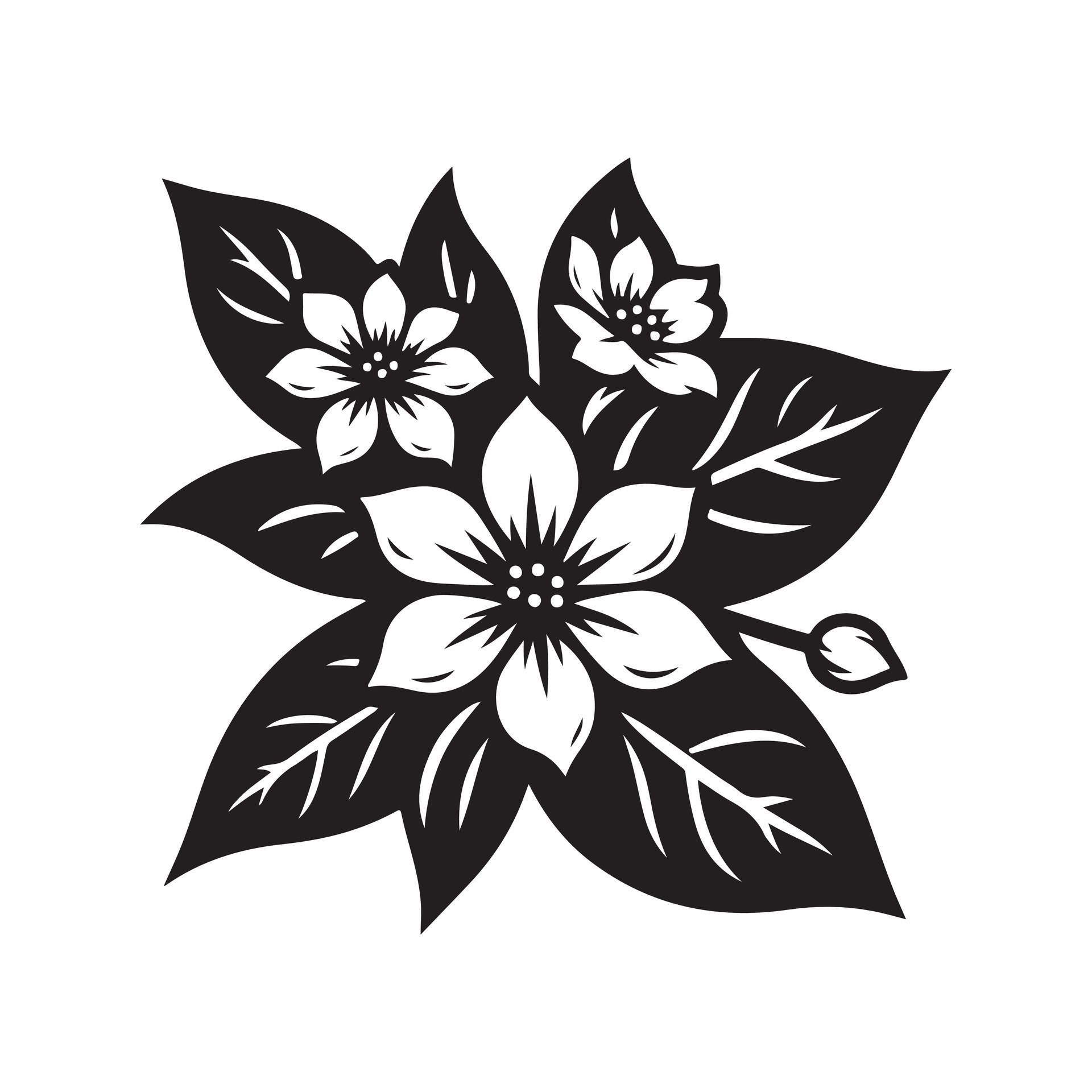 jasmine flower black 46529184 Vector Art at Vecteezy