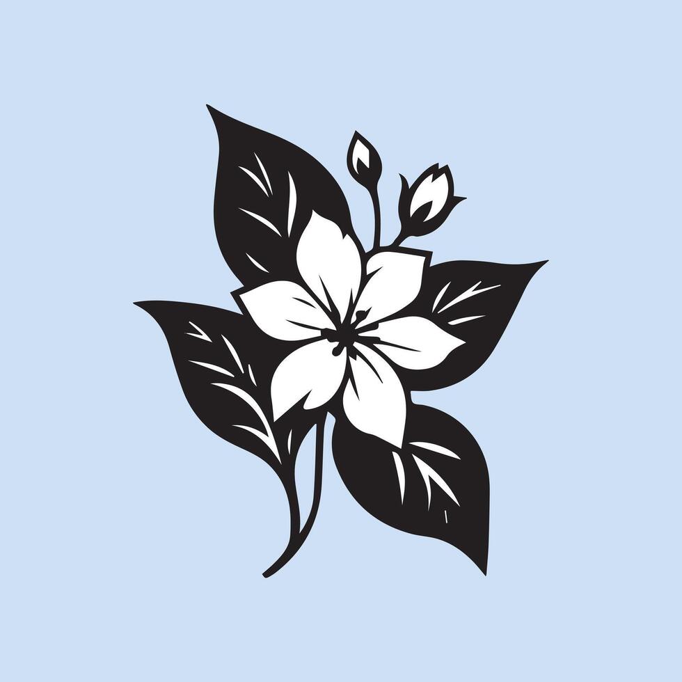 jasmine flower black vector