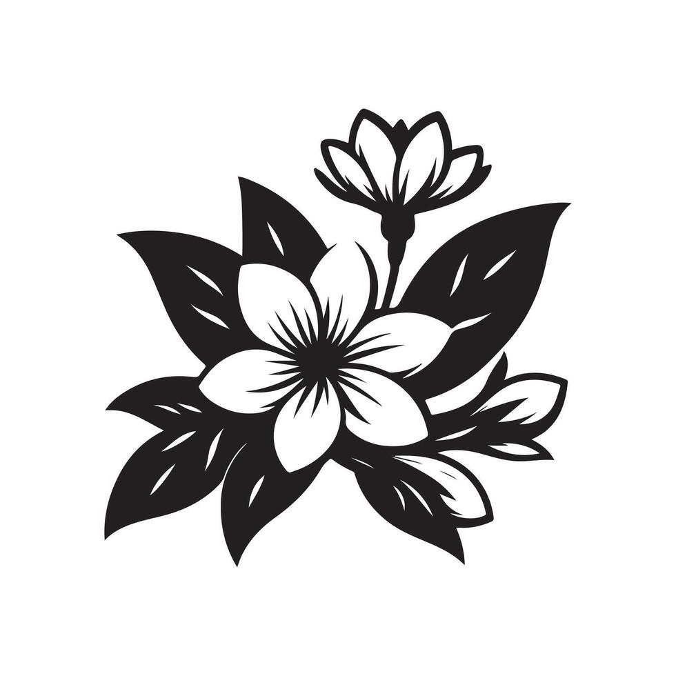jasmine flower black vector