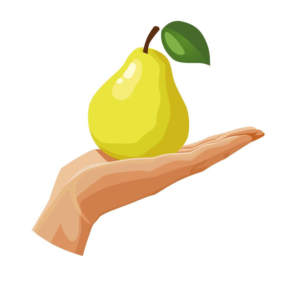 Freshly and healthy yellow pear in the palm of the hand isolated on white background. illustration in flat style with dietary fruit. Clipart for card, banner, flyer, poster design vector