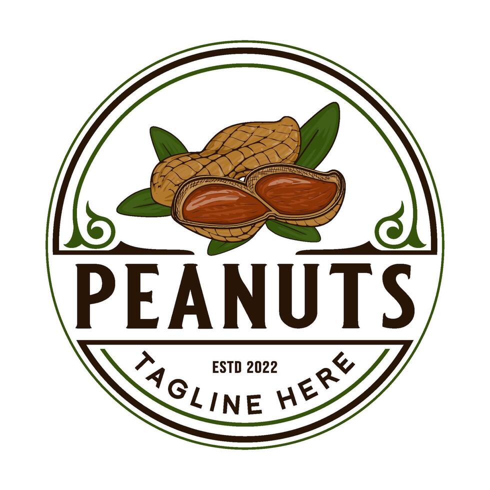 peanut logo design. hand drawn peanuts label design on organic food, agricultural product packaging vector