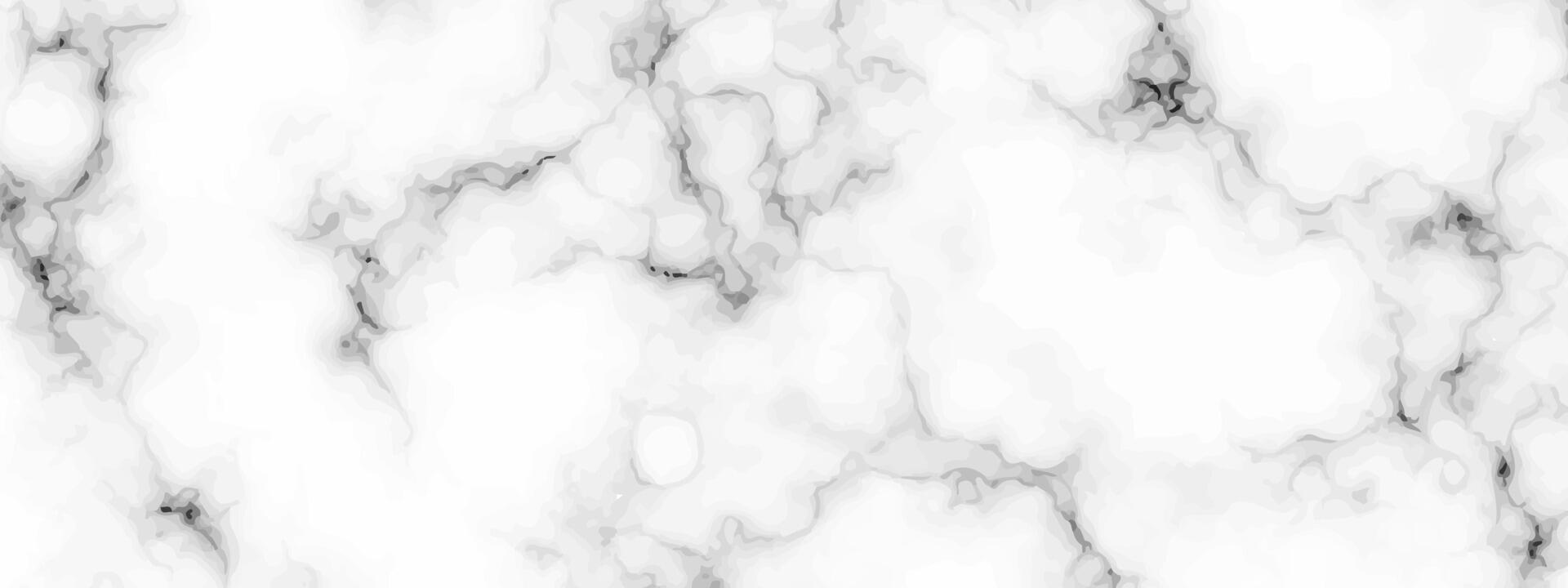White marble texture background vector
