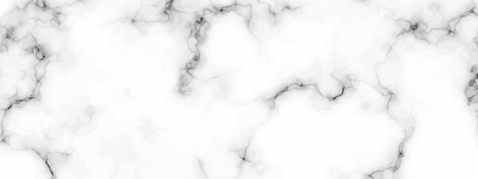 White marble texture background vector