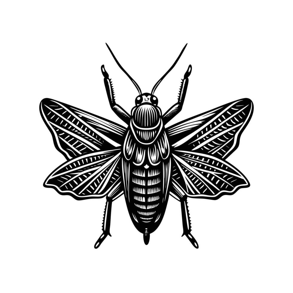 Fauna Animal Mascot Design Animal Icons Locust Bug Insect Grasshopper vector