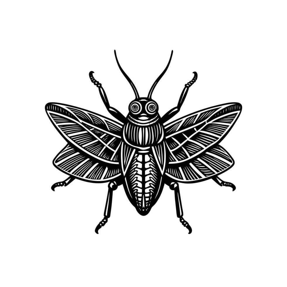 Fauna Animal Mascot Design Animal Icons Locust Bug Insect Grasshopper ...
